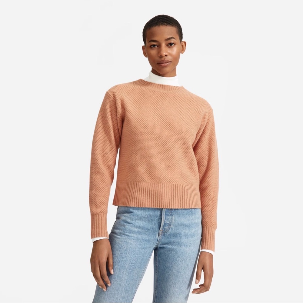 Everlane Cashmere Wool Waffle-Knit Crewneck Sweater – Rust / Clay – Women's L